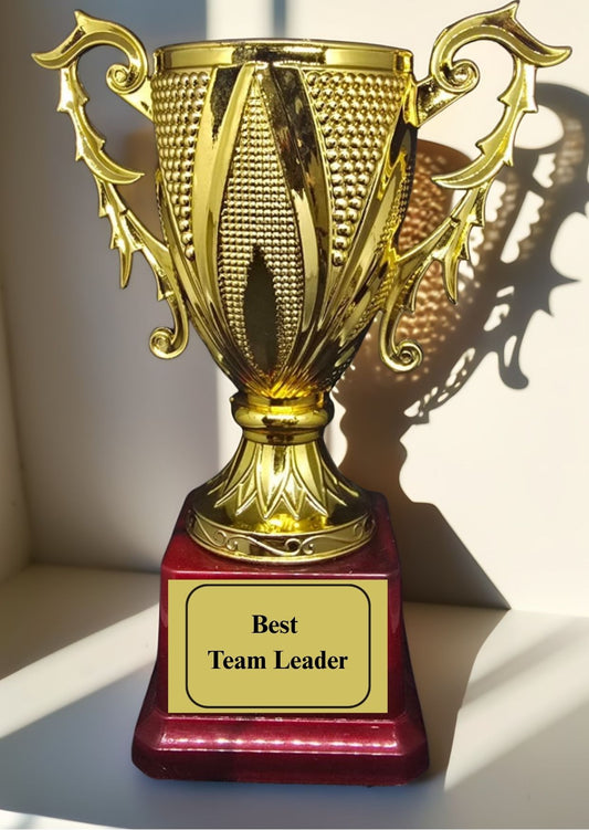 Best Team Leader Award