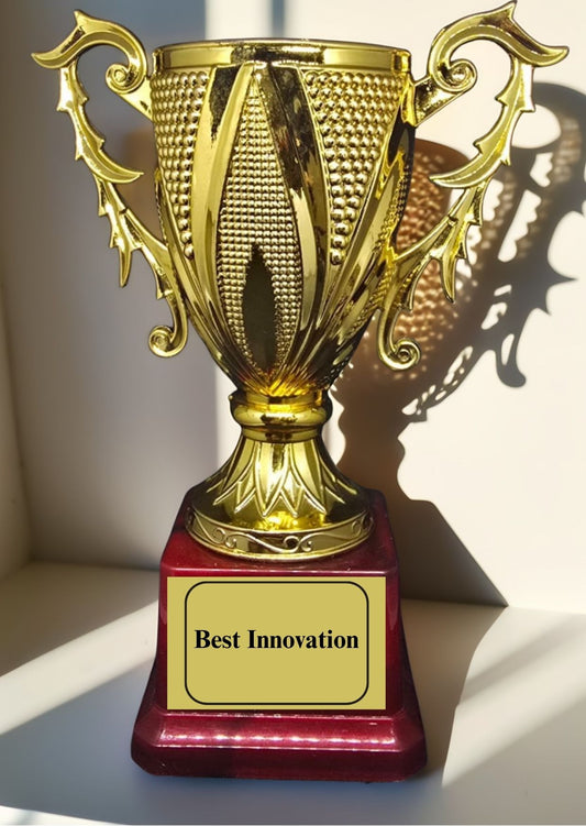 Best Innovation Award